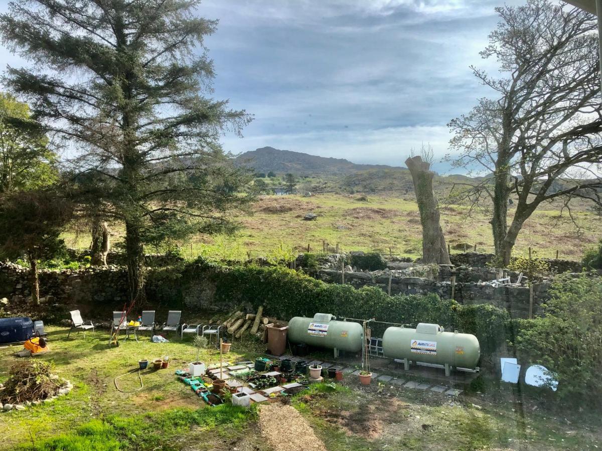 Spacious Garden Flat In Snowdonia National Park Brynkir Kültér fotó